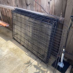 Midwest Large Dog Crates