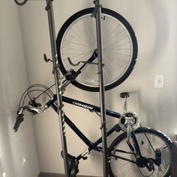 Women’s Comfort  Bike 