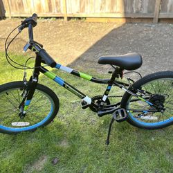 Youth Guardian Bike 20” Small 