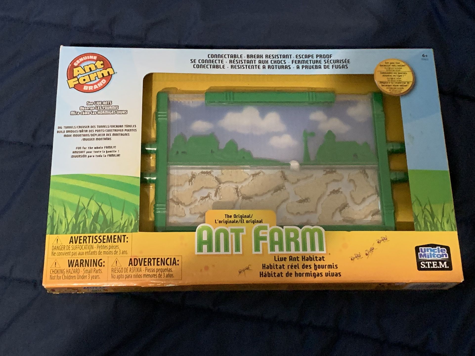 Ant Farm