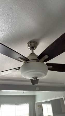 Ceiling fan with light
