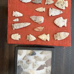 Large 30pc Authentic Southeastern Arrowhead Collection - 2 Displays