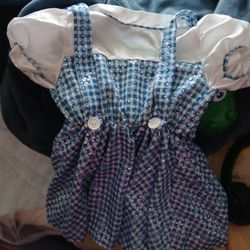 Authentic Wizard Of Oz Costume