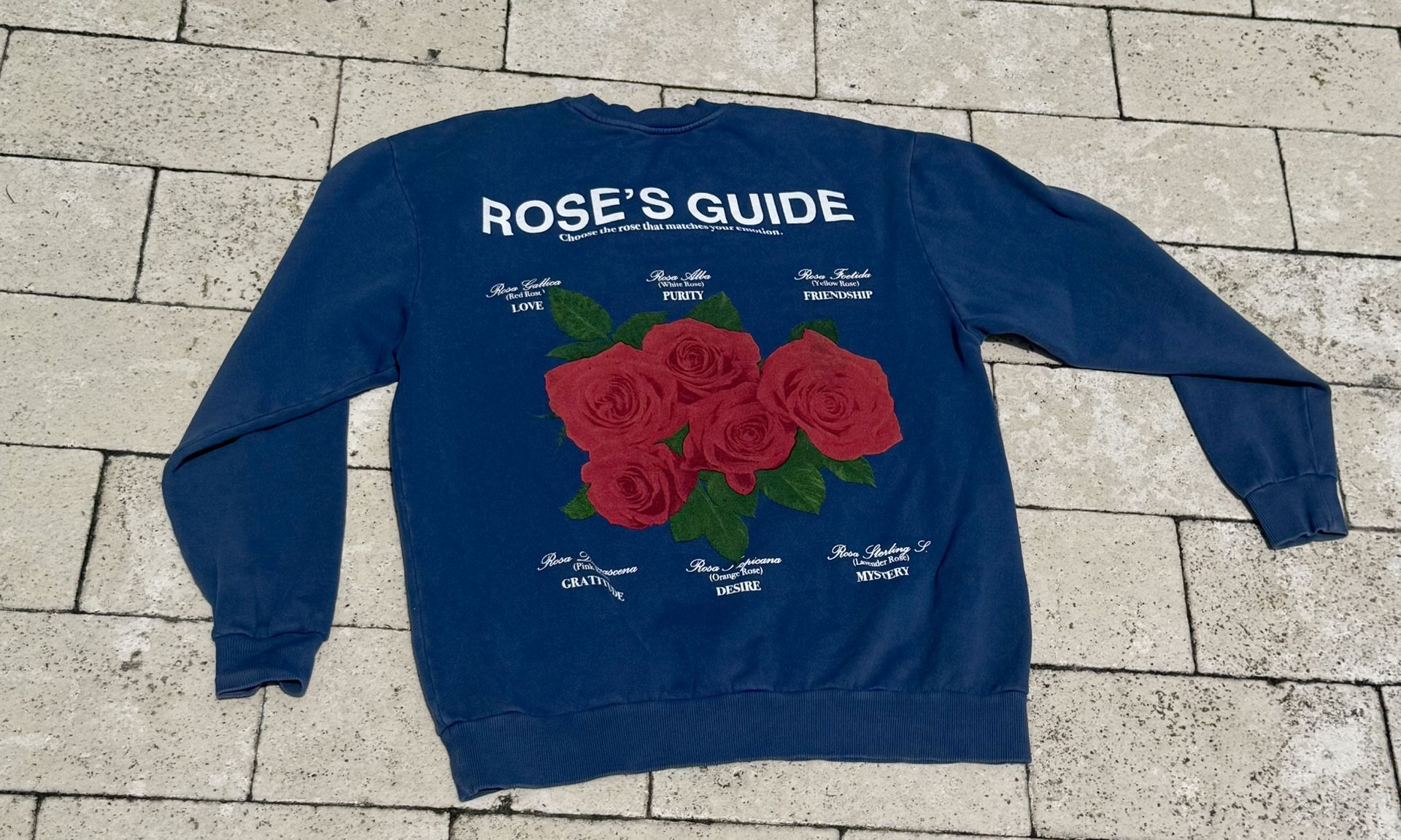 Zara Roses Guide sweatshirt