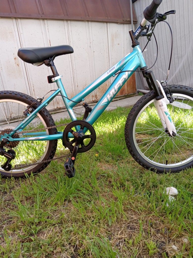 $110 New Mountain Bike 20 Speed