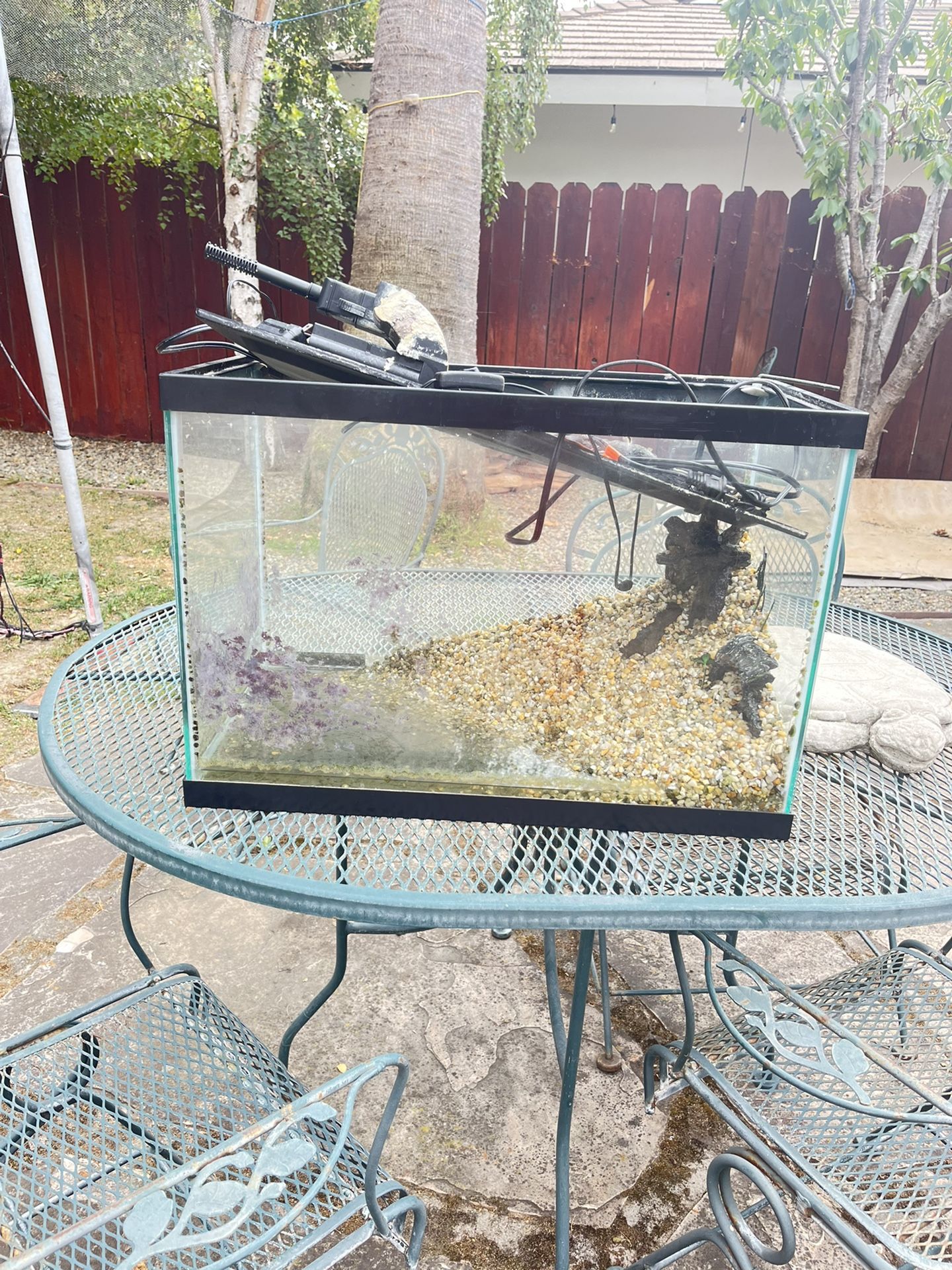 20 Galloon Fish tank (comes With Heater, Filter, Decorations, Ect)