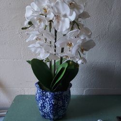 plastic flowers the base that it has is broken that's why it's worth ten