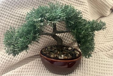 Bonsai Tree Decor