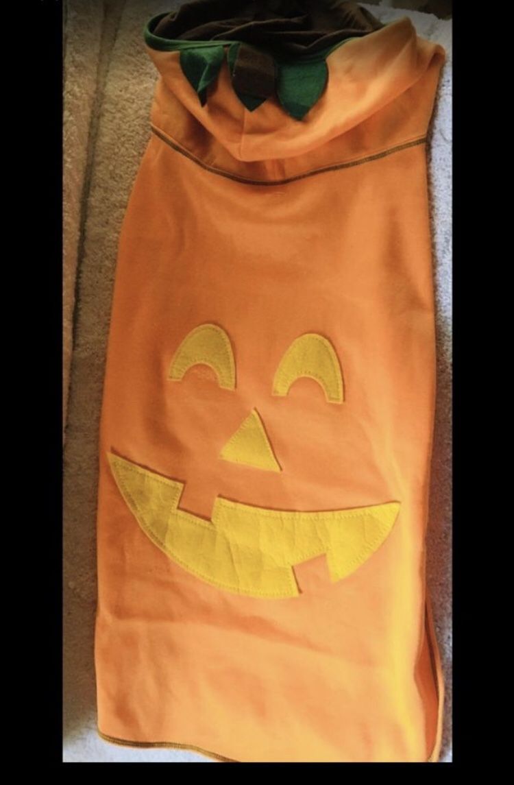 Halloween 🎃 Pumpkin hooded Dog costume