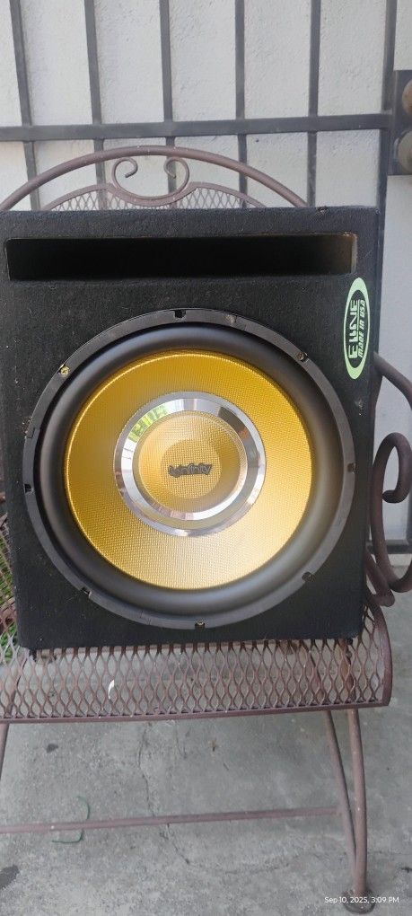 12 Inch Speaker