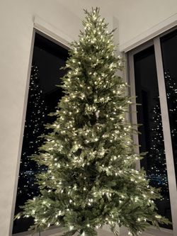 Christmas Tree 9ft Home Depot