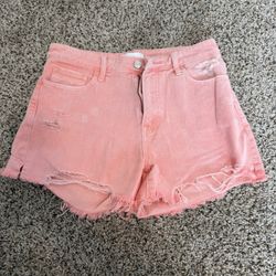 Women’s Shorts Medium