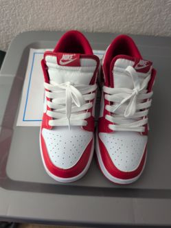 Nikes dunks size 9