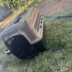 Dog Kennel 