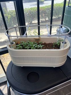 Self Watering Herb Planter