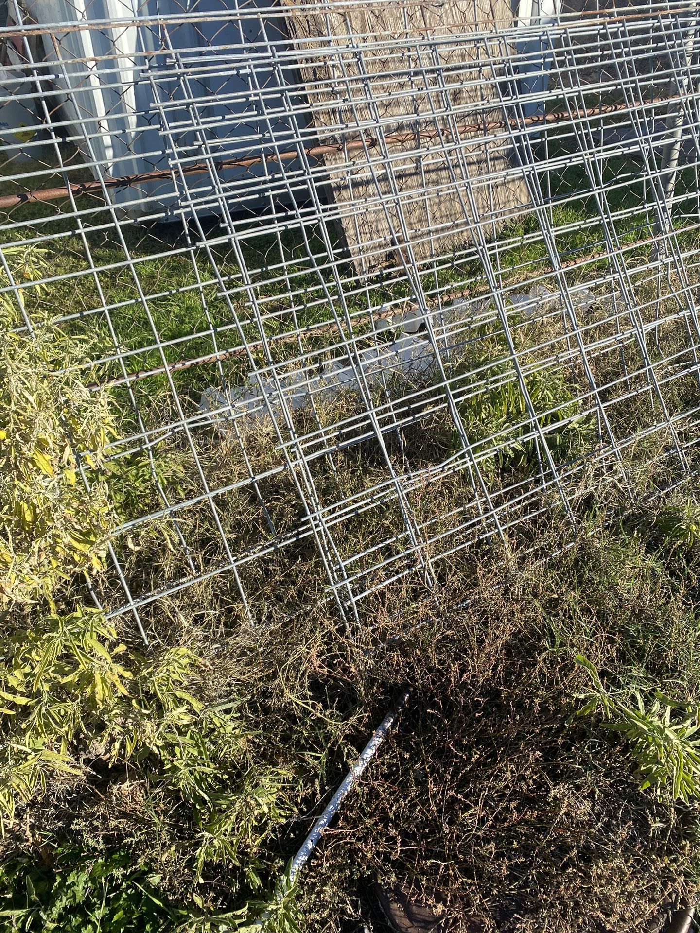 Animal Fencing