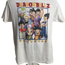 Dragon Ball Z Group Of Kanji Characters White T-shirt Goku-Vegeta-Gohan-DBZ 