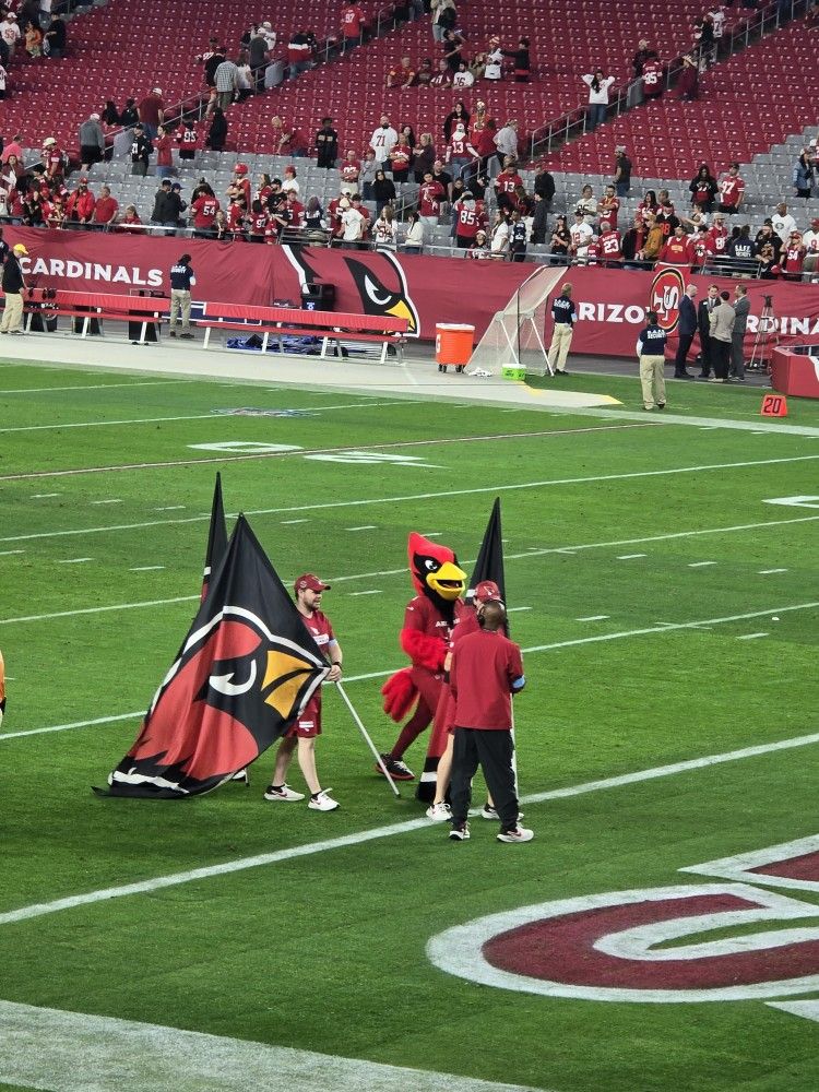 Cardinals Vs Jaguars