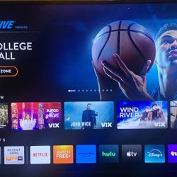 Vizio 40 Inch With Remote