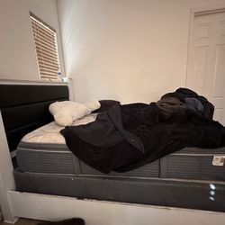 Bed Frame (not Mattress) Queen 