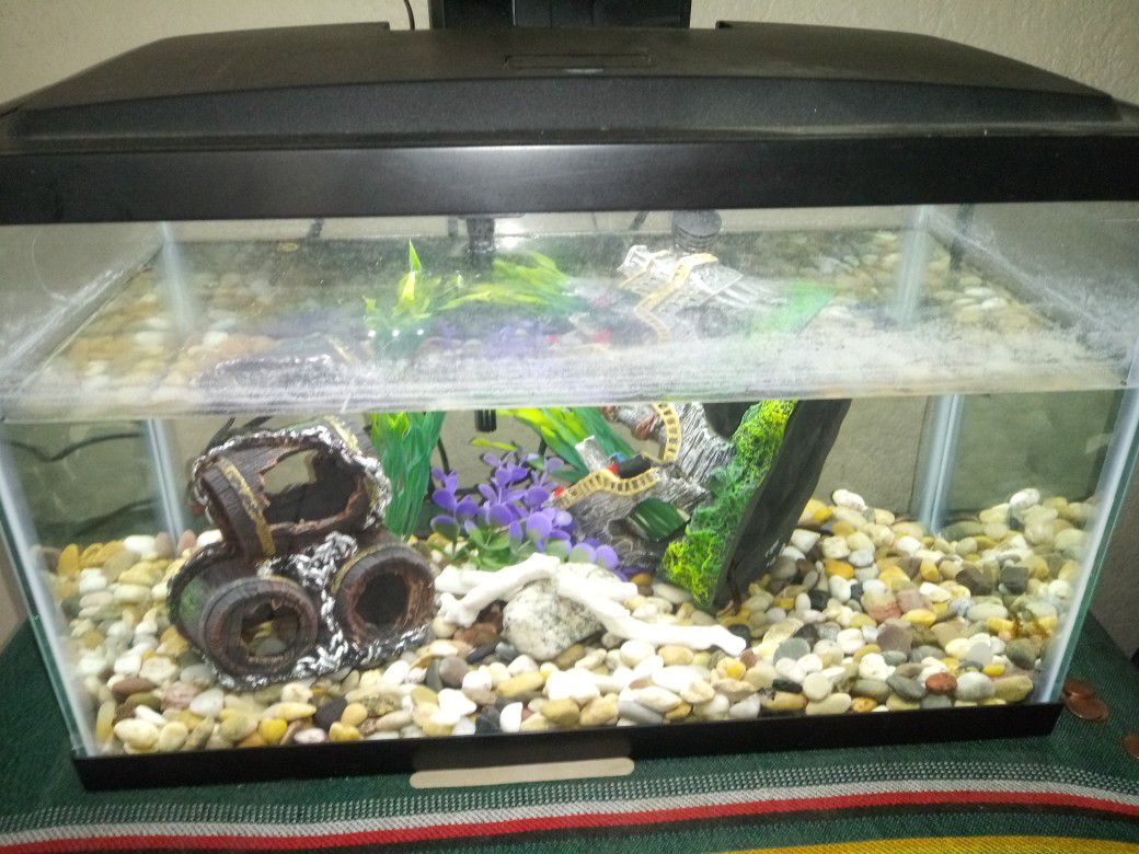 10 gallon fish tank and decorations
