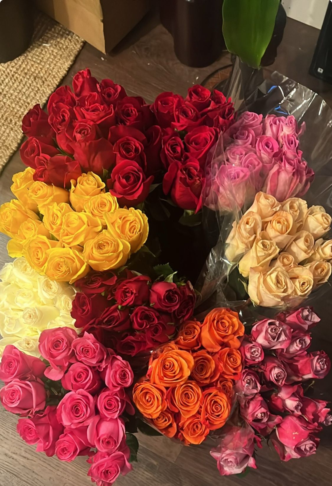 10 Dozen Roses