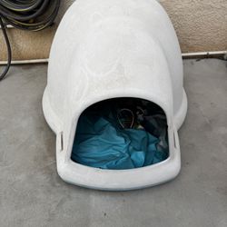 Dog/cat House