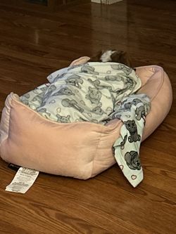 Device To Help Write With Mobility Issues