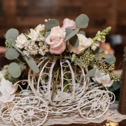 Cinderella Wire Carriage