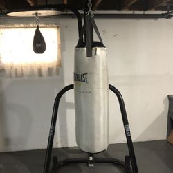 Everlast Punching Bag with Speed Bag