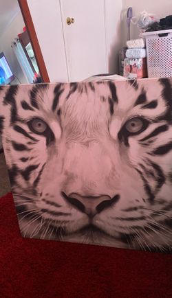 White tiger canvas frame