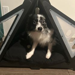 Black Handmade Teepee Dog Crate/bed Bought On Etsy 