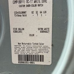 5 Gallon Paint 
