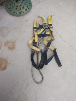 Harness