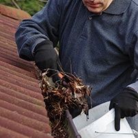 Gutter Cleaning 