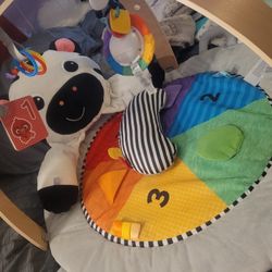 Baby Einstein Zens Activity Milestone Plush Gym