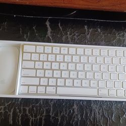APPLE WIRELESS LIGHTNIG KEYBOARD WITH BLUETOOTH MAGI MOUSE IN BOX $125 FINAL PRICE