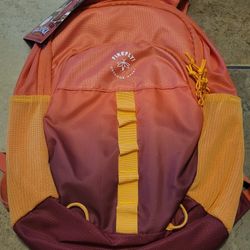 Firefly! Outdoor Gear Backpack Youth