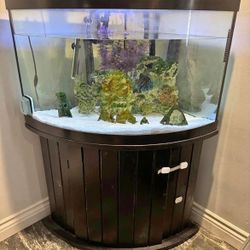 50 GALLON FISH TANK FOR SALE!!!