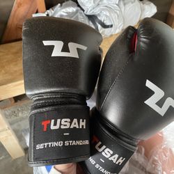 Big 5 hotsell boxing gloves