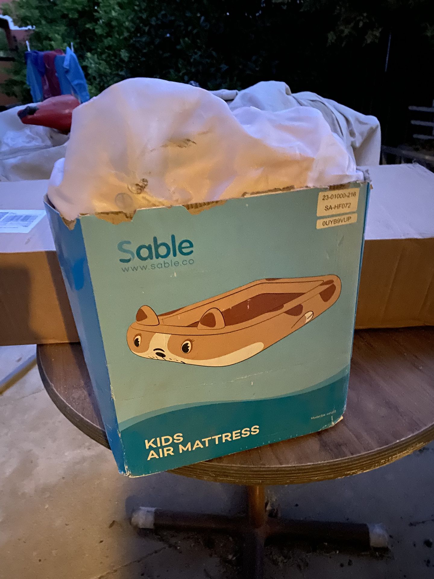 Kids Air Mattress