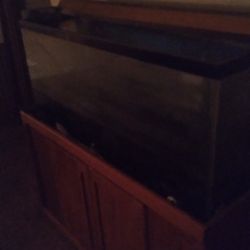 Fish Aquarium And Stand 