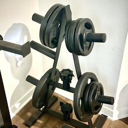 Barbell weight tower stand, and a set of 25 lb plates