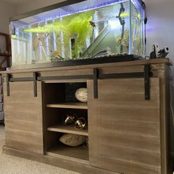 75 Gallon Aquarium Tank With Cartridge Filter And Driftwood 