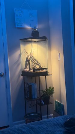 Terrarium