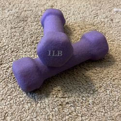1 Pound Hand Weights