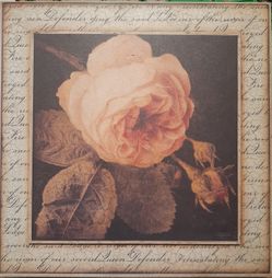 Beautiful Victorian Rose wall art. 12.5 WIDE 12.5 TALL $10.00
