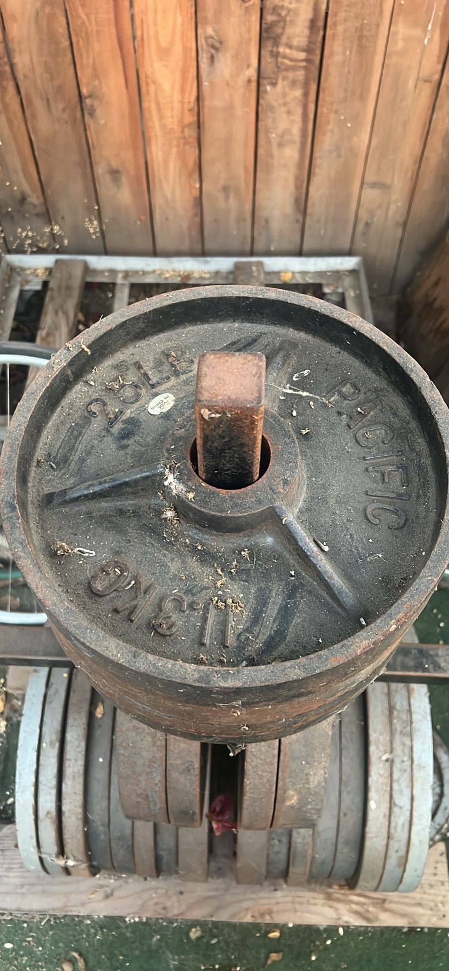 Weights 