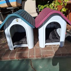 Dog house
