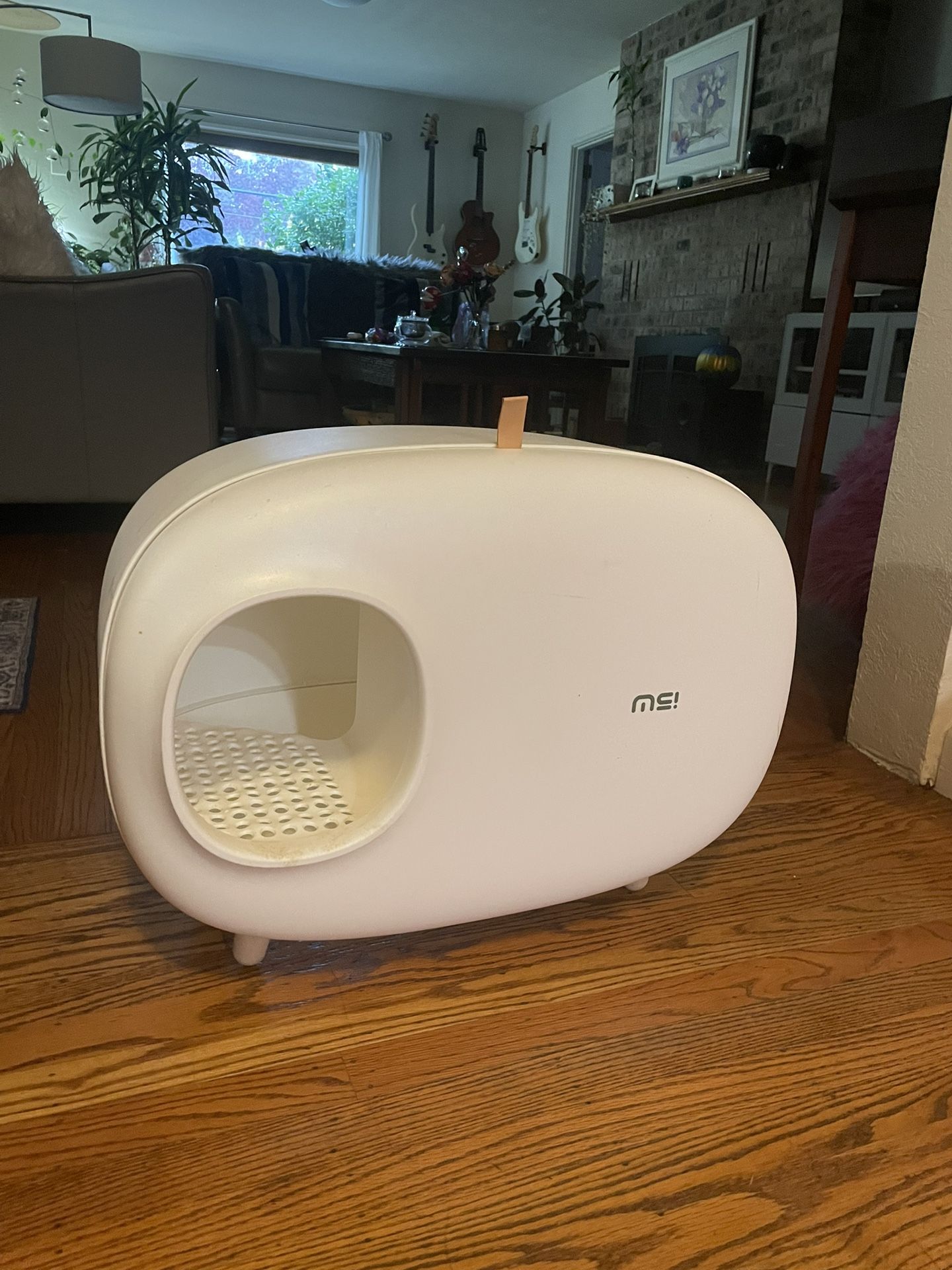 Free Litter Box